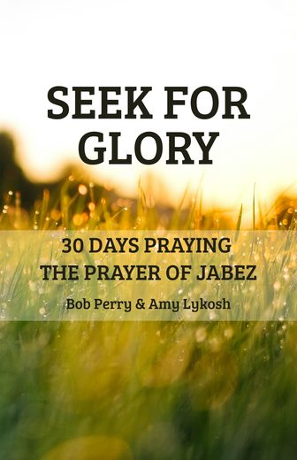 Cover of Seek for Glory